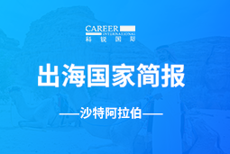 Trust钱包科技GO GLOBAL | 沙特阿拉伯国家简报